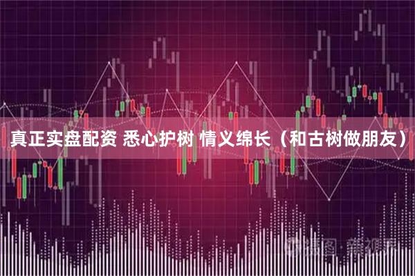 真正实盘配资 悉心护树 情义绵长（和古树做朋友）